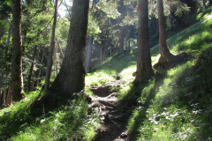 Estergebirge_2018_07