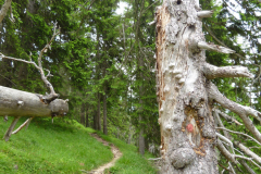 Estergebirge_2018_44