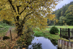 PHOTO-2025-10-11-14-36-53-4