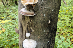 PHOTO-2025-10-12-14-16-44