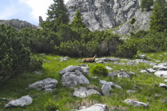 Hüttentour, Fränky-Tours, Soierngruppe, Karwendel