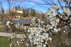 Fränky-Tours Frank Pfründer