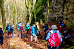Fränky-Tours Frank Pfründer